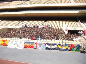 miniolimpiada tafad sevilla